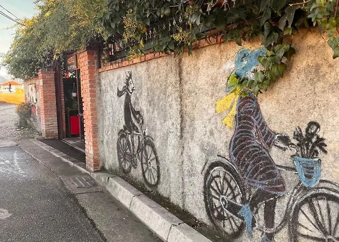 بيت شباب Divina *