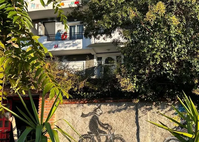 بيت شباب Divina تيرانا