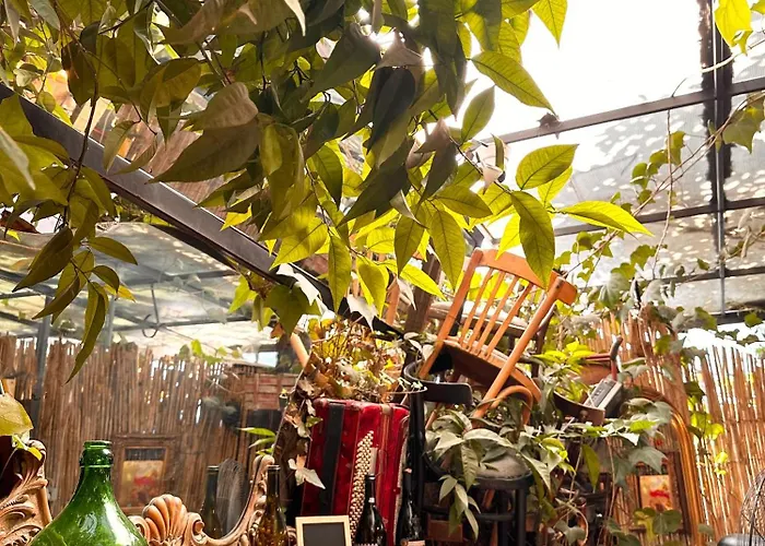 Divina بيت شباب