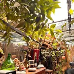 Divina Hostel