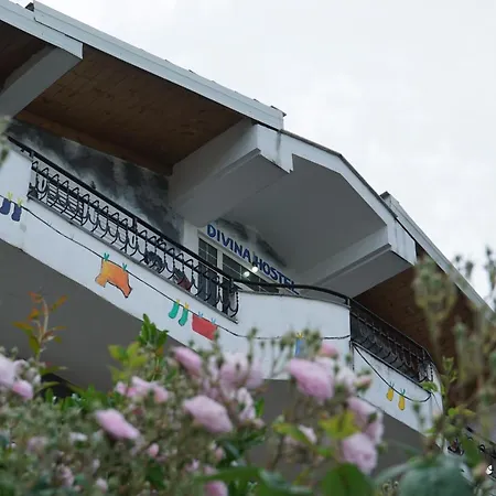 호스텔 Divina