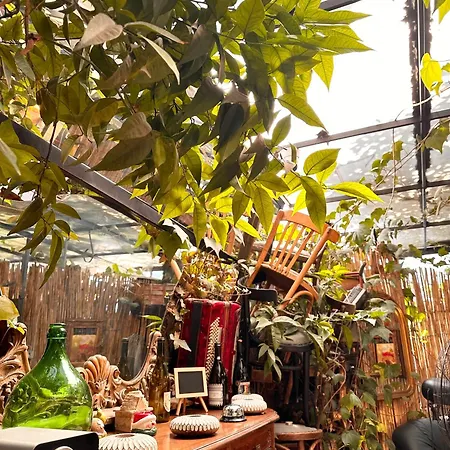 Divina Hostel